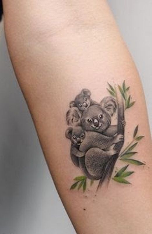 Koala dövmesi