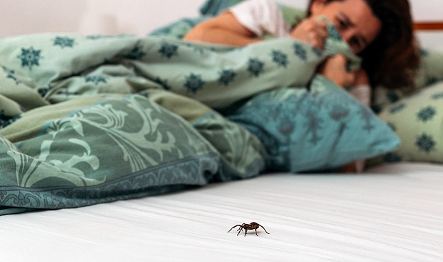 Araknofobi Sebebi Nedir Nasil Yenilir