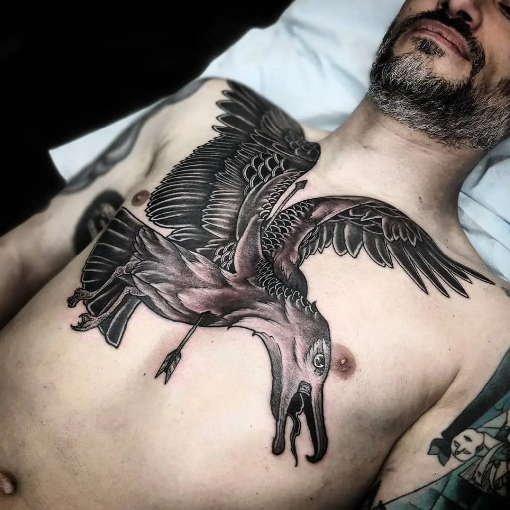 Albatros Dövme Anlamı
