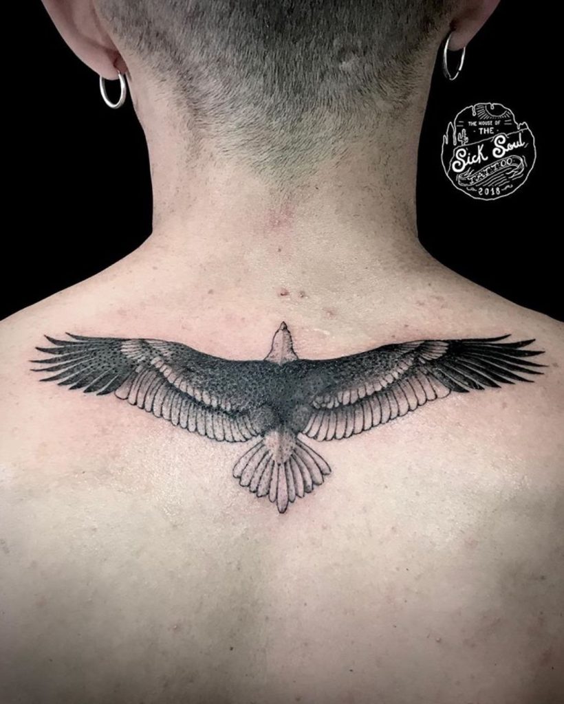 albatros dovmesinin anlami