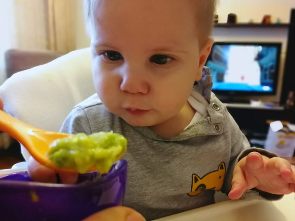 bebeklere avokado ne siklikla verilir