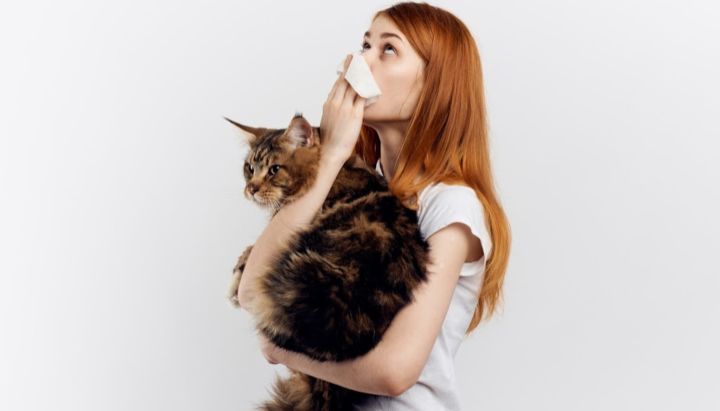 kedi alerjisi belirtileri