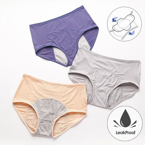 menstrual panties 2022