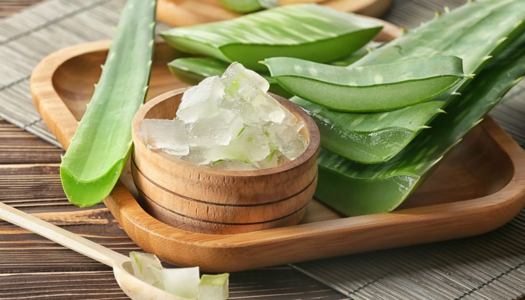 Aloe vera
