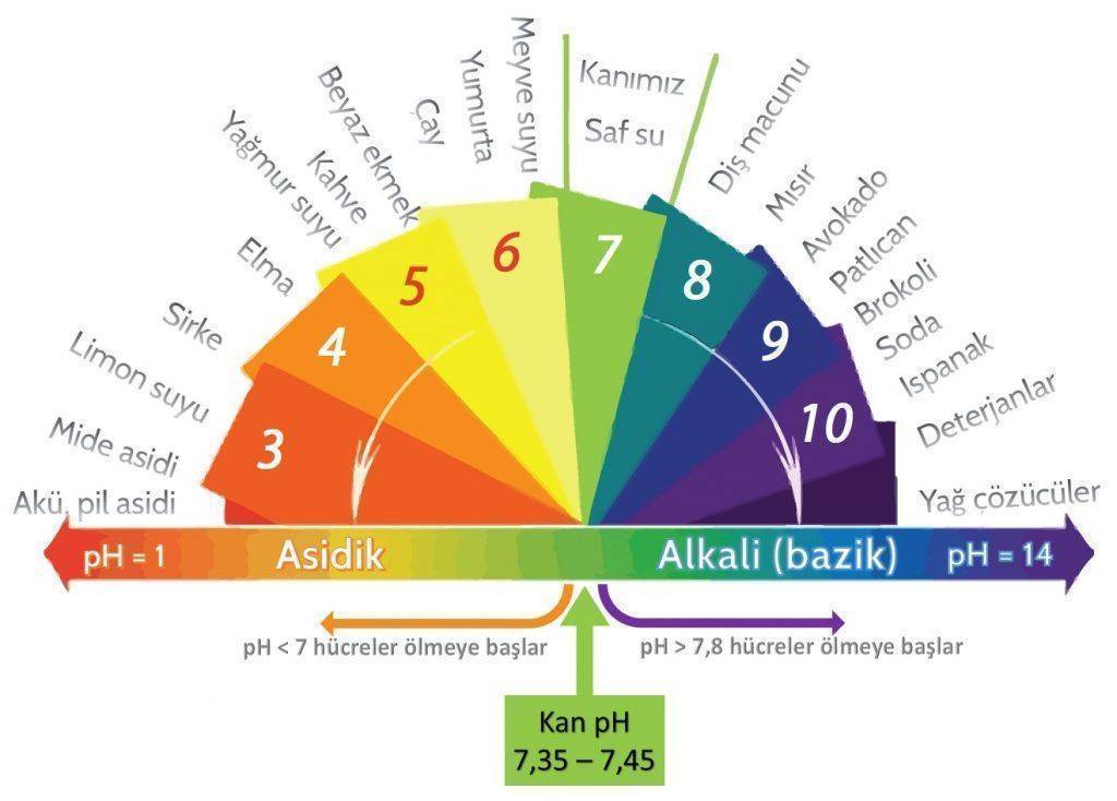 alkalik diyet nedir